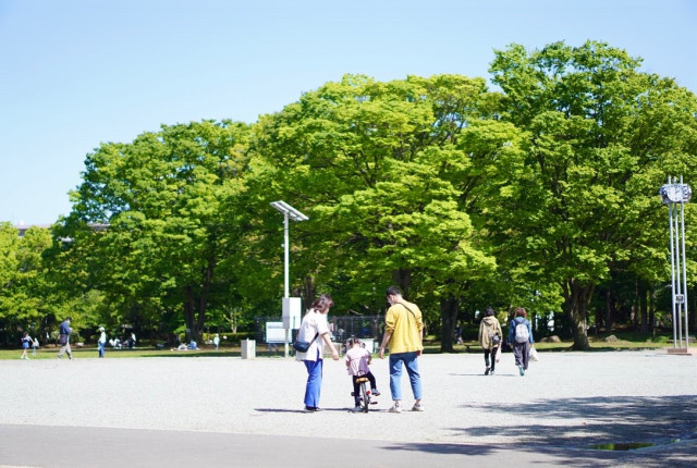 第一カッターきいろ公園（中央公園）（茅ヶ崎市）